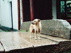 -丝绸小镇荻港古村