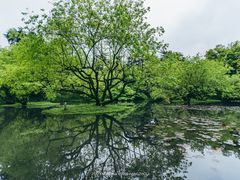 -柳浪闻莺公园