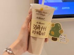 -猫的魔法密林(衣裳街店)