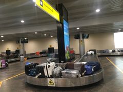 -谢列梅捷沃国际机场
