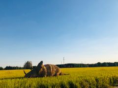 -嘉北郊野公园