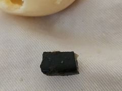 -闻酥园(大慈寺店)