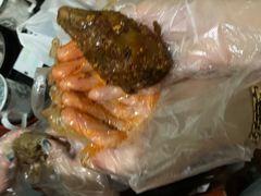 -老号尤兔头(幸福店)