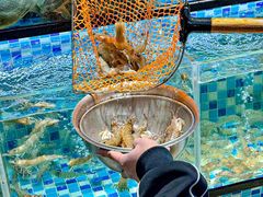 -吾家传承·橄榄妹大排档(陈家祠店)