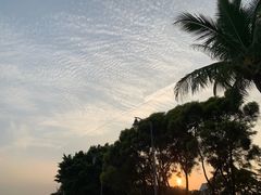 -深圳湾公园(南山区)