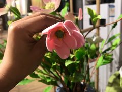 -手工艺活态馆
