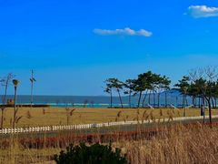 -青岛海泉湾度假区温泉