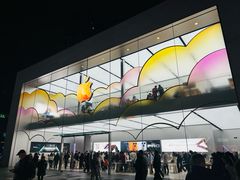 -Apple零售店(成都太古里店)