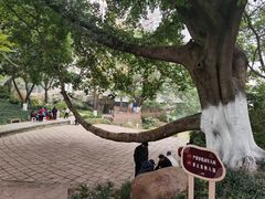 -成都市活水公园