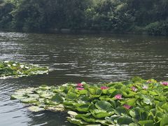 -前关湿地公园