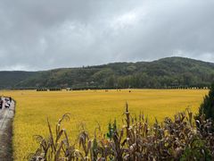 -南泥湾风景区