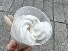 -洪馨椰子