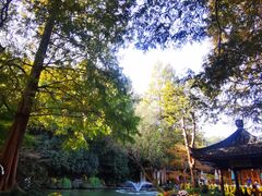 -杭州植物园