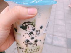 抹茶豆腐-华言豆腐鲜奶茶(杨家坪店)