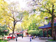 -灵谷景区