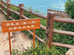 -杨梅坑