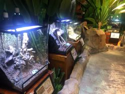 -酷嗒动物文化乐园(cutezoo西溪乐天城店)