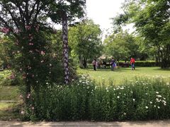 -鹅湖玫瑰文化园