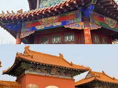 -北陵公园