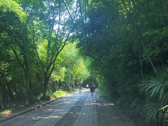 -紫金山索道-售票处