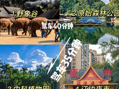 -基诺山寨.版纳民族特色菜