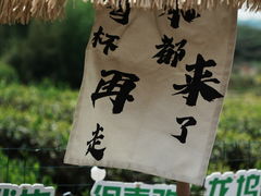 -龙坞茶村