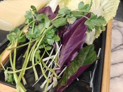 蔬菜拼盘-鱼豆吉·豆浆鱼火锅(宜昌万达店)