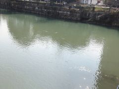 -成都市活水公园