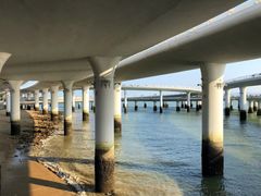 -演武大桥观景平台