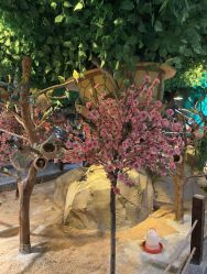 -酷嗒动物文化乐园(cutezoo西溪乐天城店)