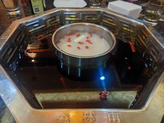 -绵阳森林雨鸭肠王火锅城(丽景花城店)