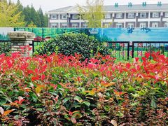 -黄海国家森林公园