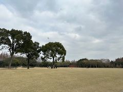 -上海滨江森林公园