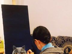 -信马画室 成人零基础到个人创作画室(亚运村店)