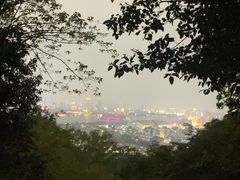 -紫金山山顶公园