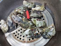 -阿家生蚝