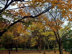 -国家植物园南园