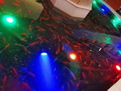 -碧中海汤泉汗蒸酒店