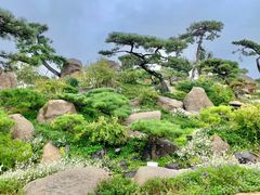 -罗红摄影艺术馆