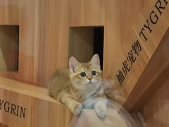 -Skay•射箭馆•弓箭娱乐(体育西店)