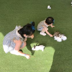 -萌宠亲子动物乐园(槐房万达店)