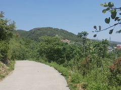 -府君山公园