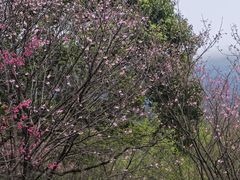 -福清灵石山国家森林公园