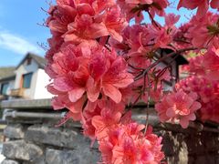 -山沟沟景区