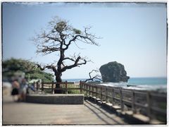 -鹅銮鼻公园