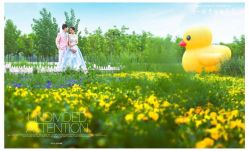 点击看大图 -唯一视觉婚纱摄影(李家村店)