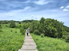 -白草畔自然风景区