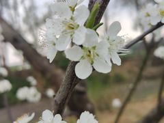 -中国天府农业博览园