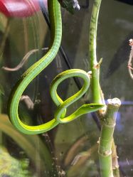 点击看大图 -酷嗒动物文化乐园(cutezoo西溪乐天城店)