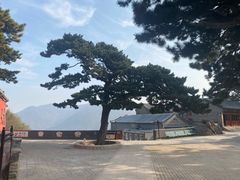 -妙峰山风景名胜区
